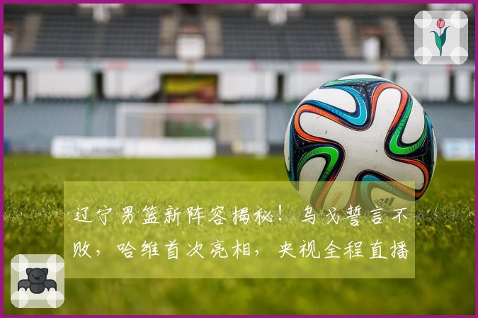 辽宁男篮新阵容揭秘！乌戈誓言不败，哈维首次亮相，央视全程直播