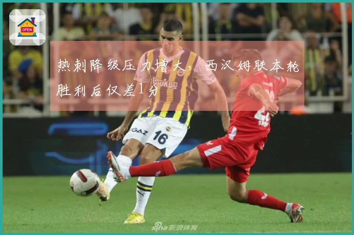 热刺降级压力增大，西汉姆联本轮胜利后仅差1分